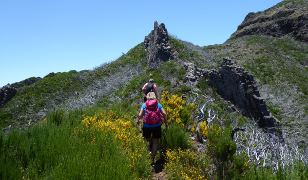 2 kvinner som vandrer i fjellet. Med rosa sekk og blå t-skjorte. Høyt på toppen av fjellet med gule blomster.