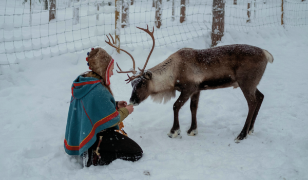 Samisk kvinne med tradisjonell samekofte og reinsdyr i snøen.