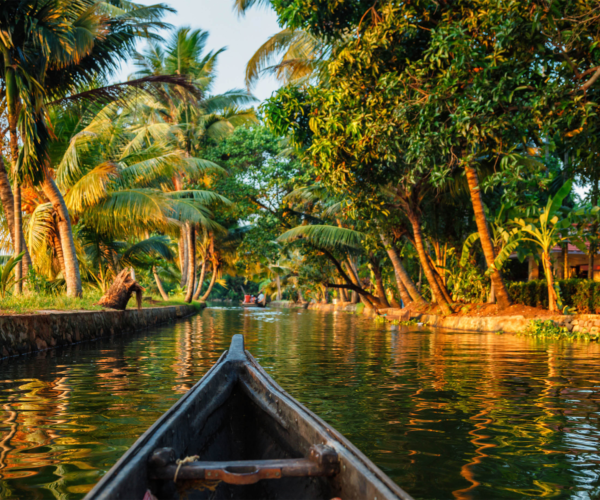 Yogareisene i india Kerala